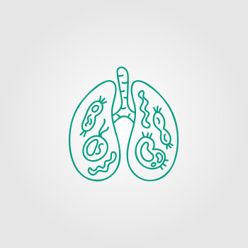 Nasal